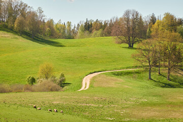 #昆明万达广场商业管理有限公司#简历投了 没有回复