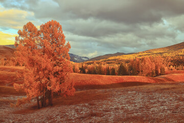活泼外向型的女人怎么接触 特别开朗的女生喜欢的男生类型