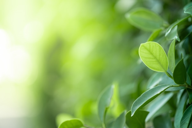 北汽新能源年产能大幅提升38.8% 将生产EU系列
